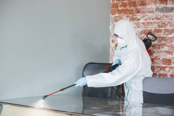 Why You Should Choose Our Mold Remediation Services in Nellis Af, NV